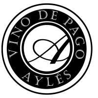 BODEGA PAGO DE AYLES Logo