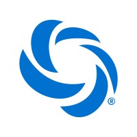 Online Image® Logo