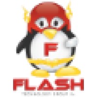 Flash Technology Group, LLC Logo