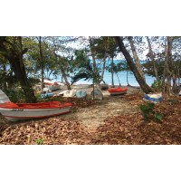 Watson Homes Real Estate Sales Logo