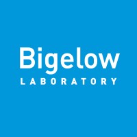 Bigelow Laboratory for Ocean Sciences Logo