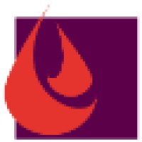 Fundación Fuego Logo