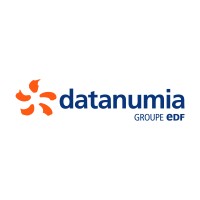 Datanumia, EDF Group Logo