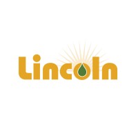 Lincoln Energy Solutions Logo