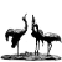 Bert Denneman Beelden Logo