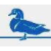 Duckwood Advisors Logo