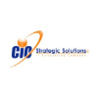CIO Strategic Solutions, LLC Logo