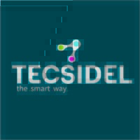 Tecsidel ITS Logo