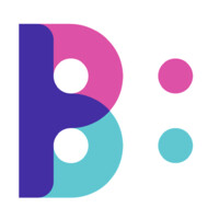 The Big Picture Logo