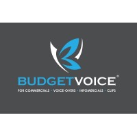 BudgetVoice Logo