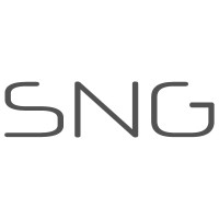 SNG - Social Network Group Logo