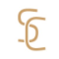 Shashi Consulting Logo