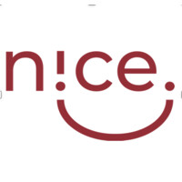 NICE POWER Logo
