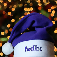 FedEx Logo