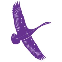 Cygnus Academies Trust Logo