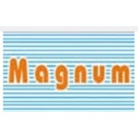 magnum telesystem Logo