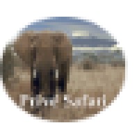 Prive Safari Logo