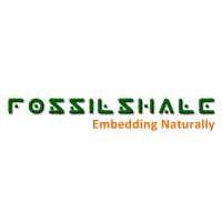 FossilShale Embedded Technologies (P) Ltd., Logo