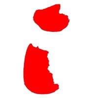 Roodhals Capital Logo