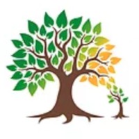 Queen City Transitions Logo