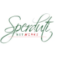 Sperduti NetWorks LLC Logo