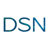 DSN Software, Inc Logo