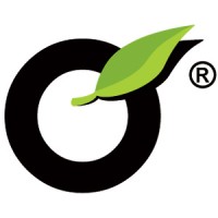 Proevo Soluções em TI Logo