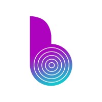 Binary Semantics Ltd. Logo