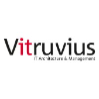 Vitruvius Management & Consulting Logo