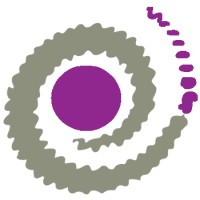 Pinkmatter • space • earth • intelligence • Logo