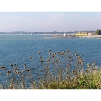 Terapi & Supervision Logo