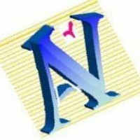 Naveli Enterprise Solutions Logo