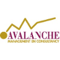 Avalanche Management en Consultancy Logo