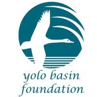 Yolo Basin Foundation Logo
