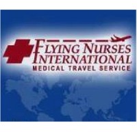 Flying Nurses International Logo