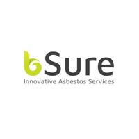 bSure Testing Limited Logo