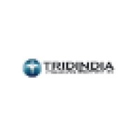 TridIndia IT Translation Services Pvt.Ltd Logo