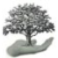 Urban Tree Studio Logo