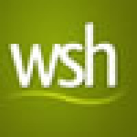 Websystem Health Logo