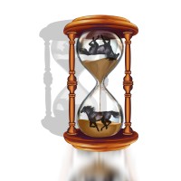 TimeHorse, LLC Logo