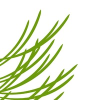 Santa Fe Community Foundation Logo