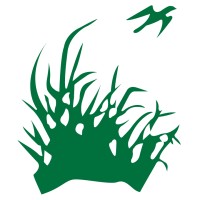 Sawgrass Country Club Logo