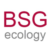 BSG Ecology Logo