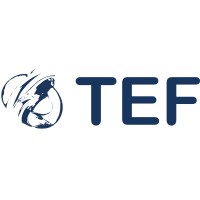 TEF Brandbeveiliging Logo