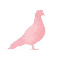 The Pink Pigeon Logo