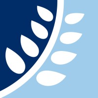 ASH Chartered Surveyors Logo