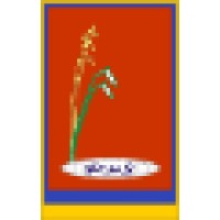 The Rice n Spice International Ltd Logo