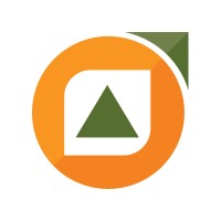Pinnacle Plan Design Logo