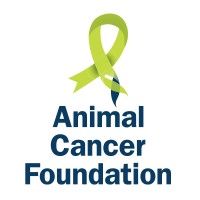 Animal Cancer Foundation (ACF) Logo