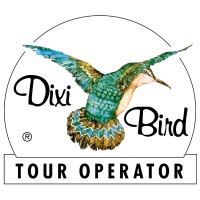 Dixi Bird T.O. Logo
